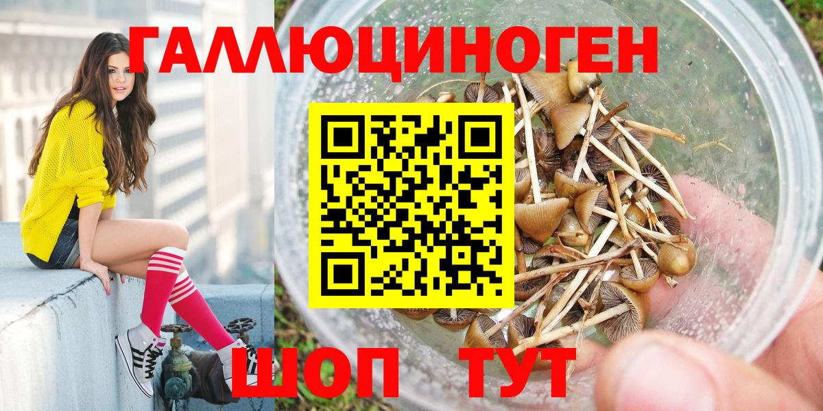 Ялуторовск  Псилоцибиновые грибы MAGIC MUSHROOMS  Вход с VPN  Псилоцибиновые грибы Cubensis 