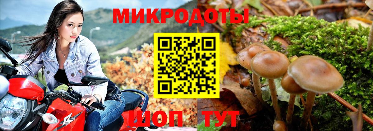 Псилоцибиновые грибы GOLDEN TEACHER Ялуторовск
